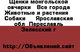 Щенки монгольской овчарки - Все города Животные и растения » Собаки   . Ярославская обл.,Переславль-Залесский г.